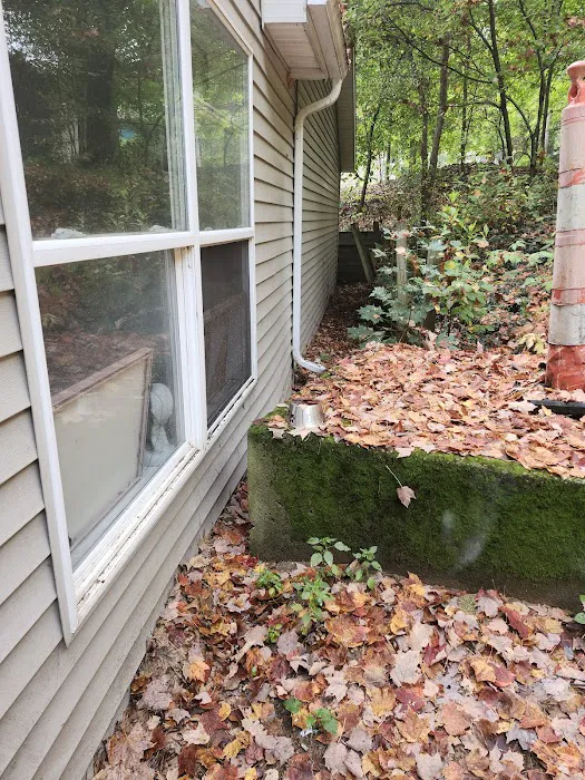EcoShield Pest Solutions Picture 5