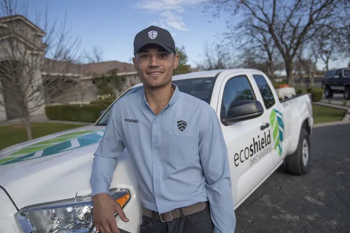 EcoShield Pest Solutions Picture 2