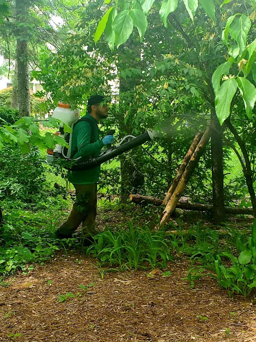 Mosquito Joe of Grand Rapids Picture 3