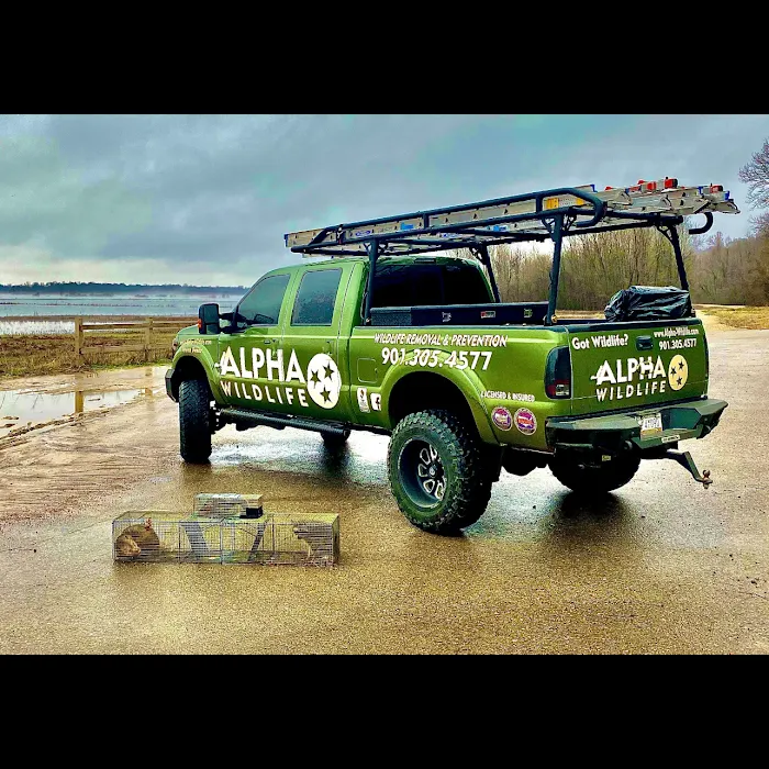 Alpha Wildlife Knoxville Picture 4