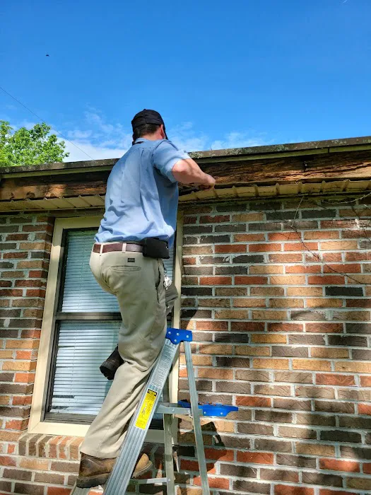 Cook's Pest Control Picture 2
