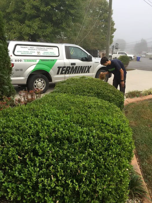 Terminix Picture 10