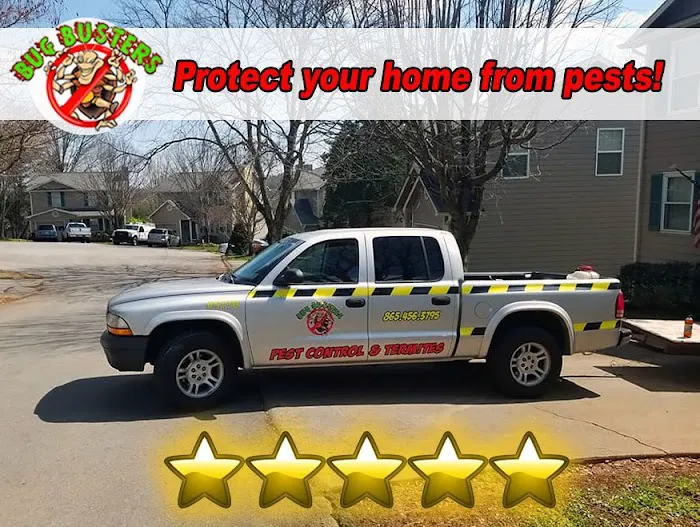 Bug Busters Pest Control(Knoxville office) Picture 2