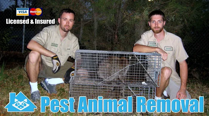 Pest Animal Removal Knoxville Picture 1