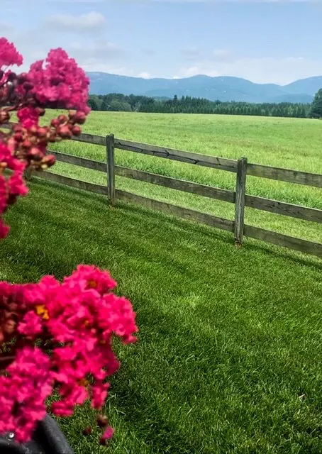Grass Nerds Picture 7