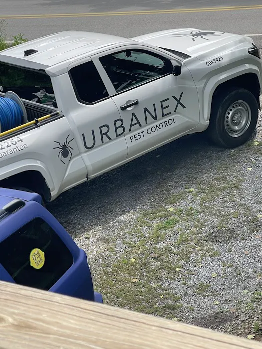 Urbanex Pest Control Picture 9