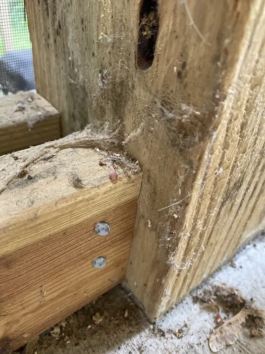 Urbanex Pest Control Picture 7