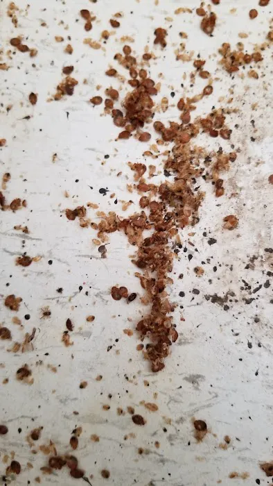 Xtreme Pest Control, LLC Picture 6