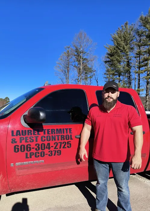 Laurel Termite Control Picture 2