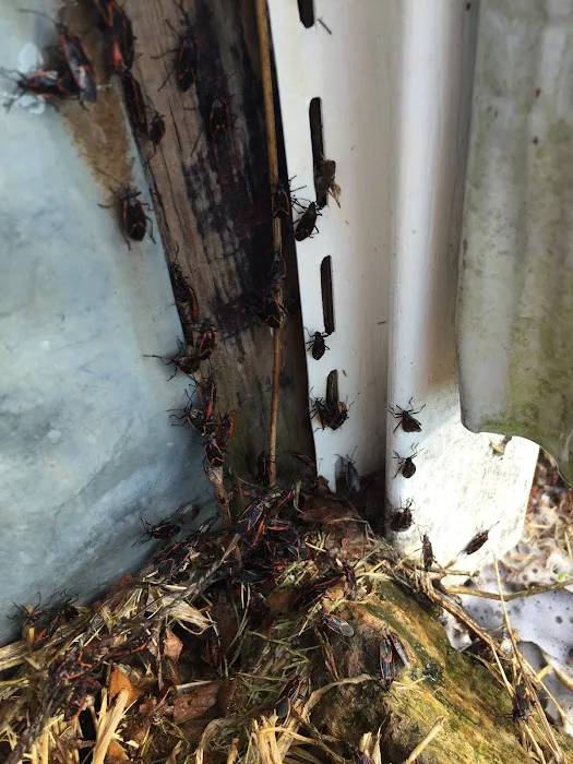 Nichols Pest Control Picture 10