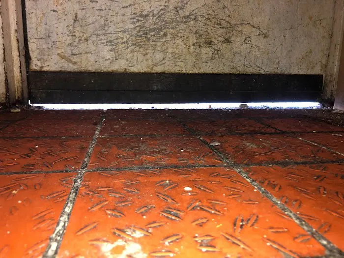 Four Seasons Pest Solutions Picture 5