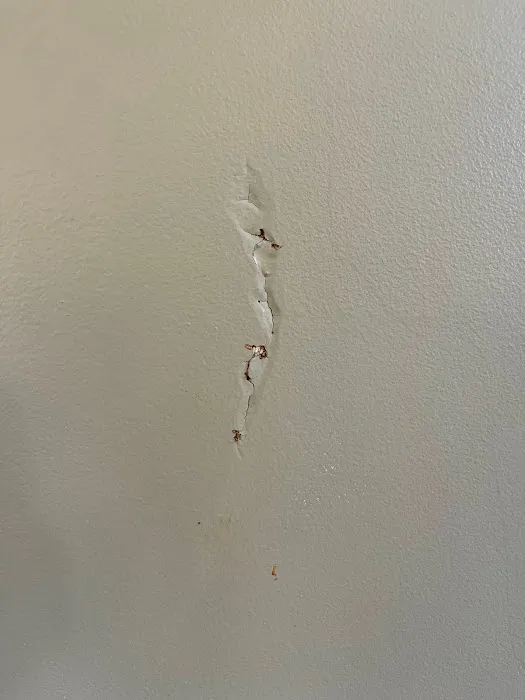 Four Seasons Pest Solutions Picture 7