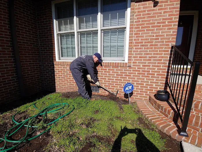 White Termite & Pest Control Picture 6