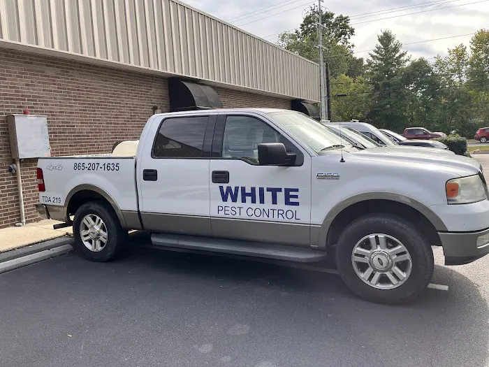 White Termite & Pest Control Picture 3