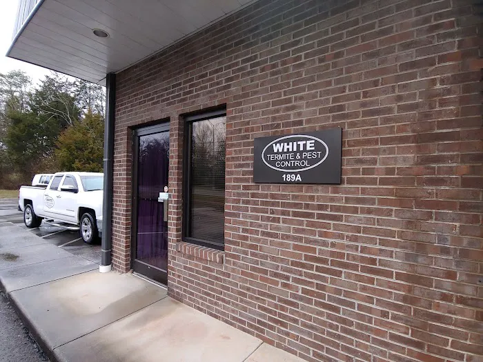 White Termite & Pest Control Picture 2