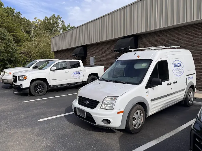 White Termite & Pest Control Picture 7