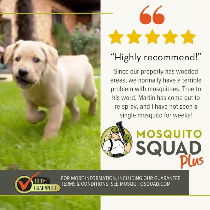 Mosquito Squad Plus of Knoxville Picture 10