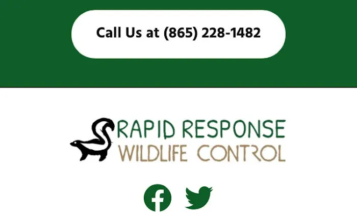 RAPID RESPONSE Wildlife Control Picture 5