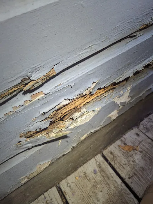 Pest Ops Pest Control Picture 7