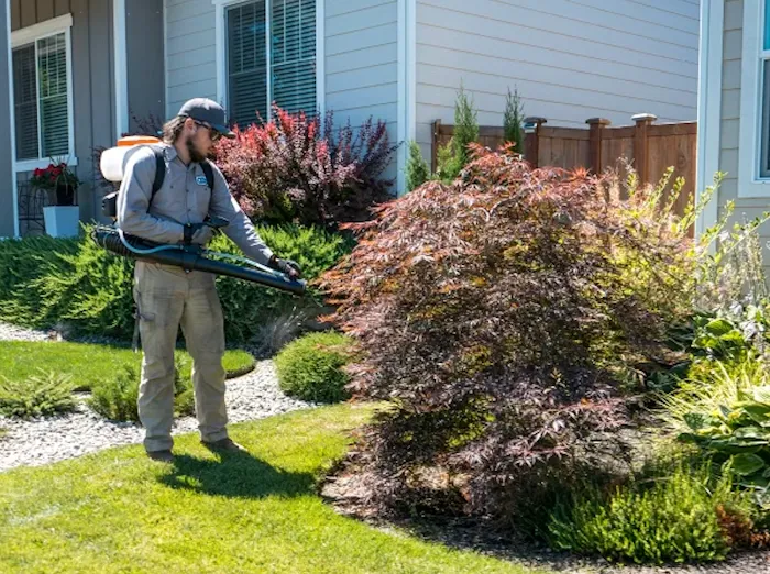Alta Pest Control Picture 5