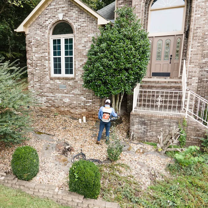 Atlus Pest Solutions Knoxville Picture 10