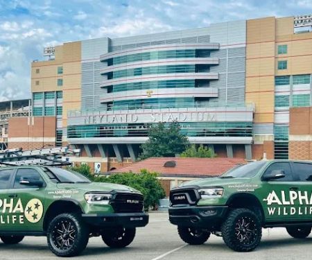 Alpha Wildlife Knoxville