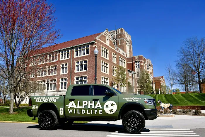 Alpha Wildlife Knoxville Picture 8