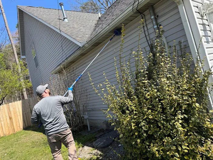 Colonial Pest Control Picture 7