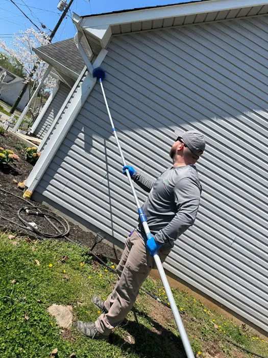 Colonial Pest Control Picture 5