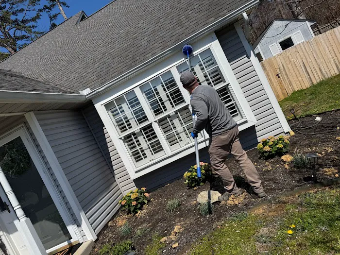 Colonial Pest Control Picture 6