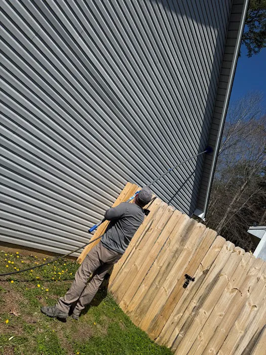 Colonial Pest Control Picture 1