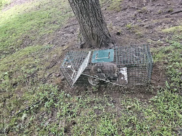 Valley River Wildlife Services LLC Picture 6
