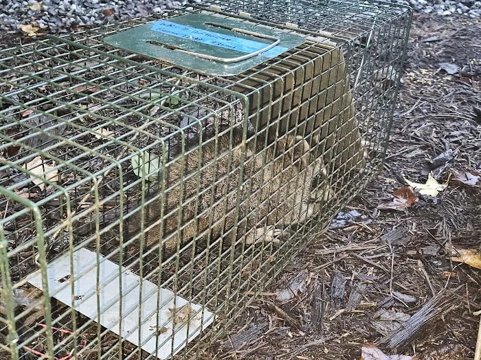 Valley River Wildlife Services LLC Picture 2