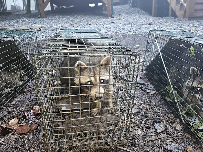 Valley River Wildlife Services LLC Picture 10