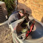 Nextgen Pest Solutions