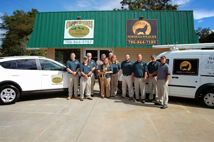 Coppermines Pest Control Picture 1