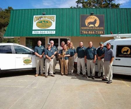 Coppermines Pest Control