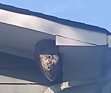 Massey Services Pest Control