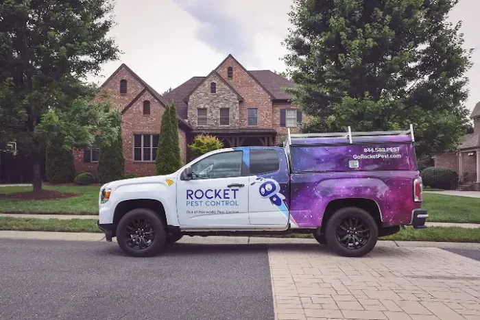 Rocket Pest Control Picture 8