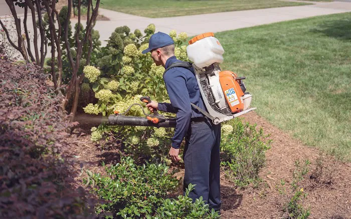 Rocket Pest Control Picture 2