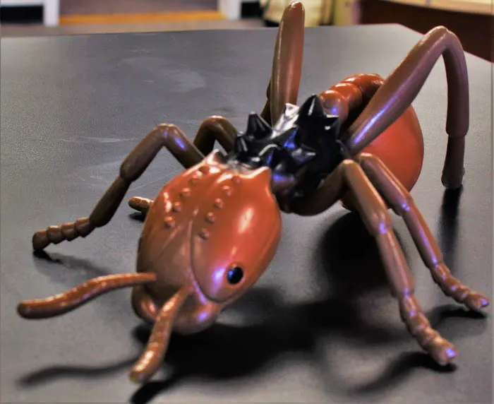 Select Pest Control Systems Picture 8