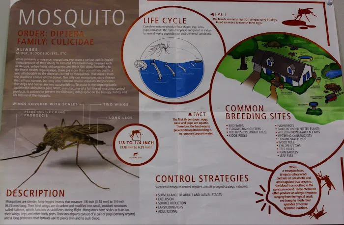 Select Pest Control Systems Picture 5
