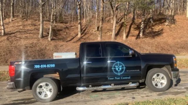 Your Pest Control Picture 1