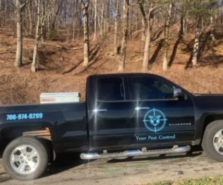 Your Pest Control