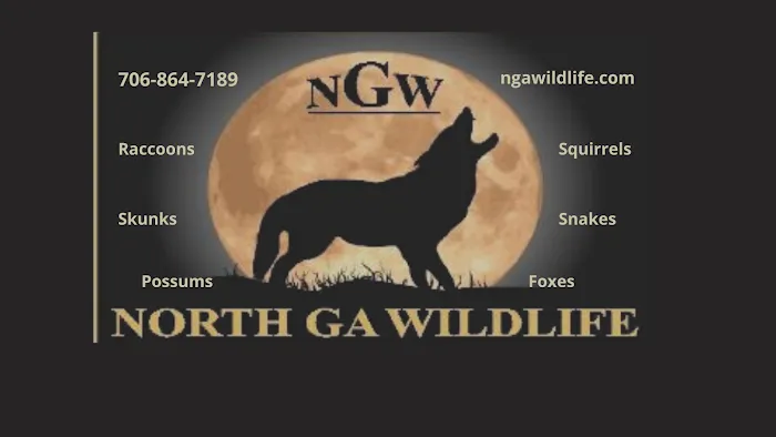 North GA Wildlife Picture 4