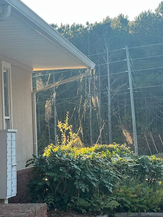 Accord Termite and Pest Control Picture 1