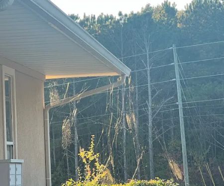 Accord Termite and Pest Control