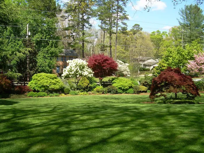 King GREEN Picture 10