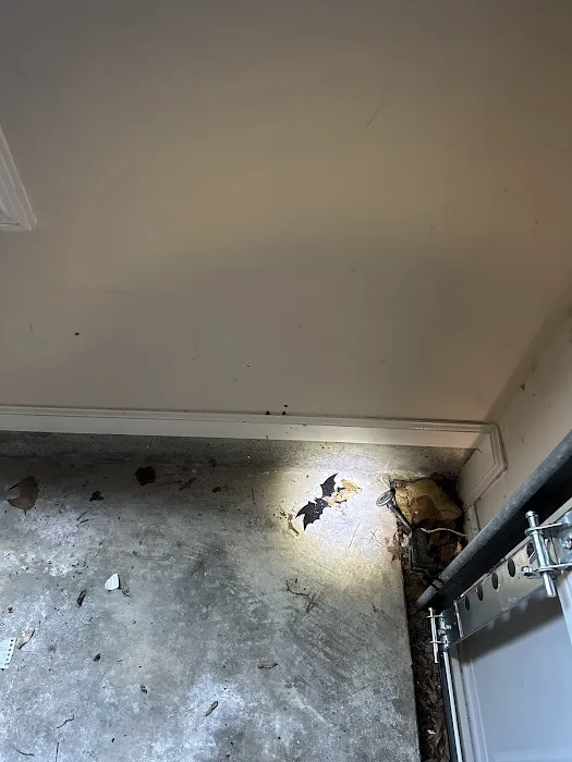 Combs Pest Control Picture 4