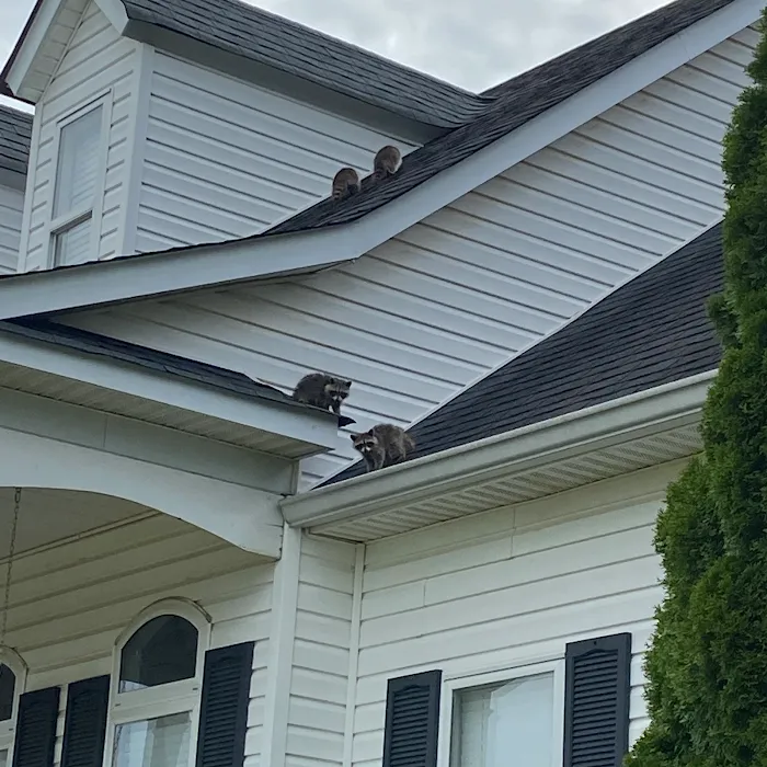 Olympic Pest & Termite Control, Inc. Picture 6